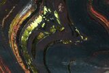 Polished Tiger Iron Stromatolite - ( Billion Years) #75849-1